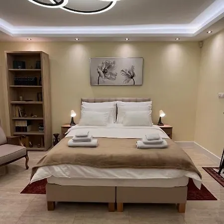 N10 Apartment Belgrado Esterno foto