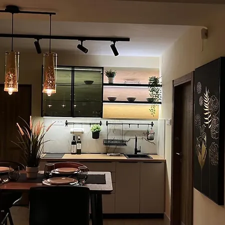 N10 Apartment Belgrado Esterno foto