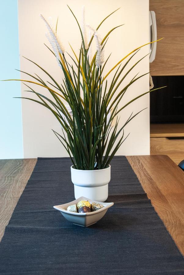 N10 Apartment Belgrade